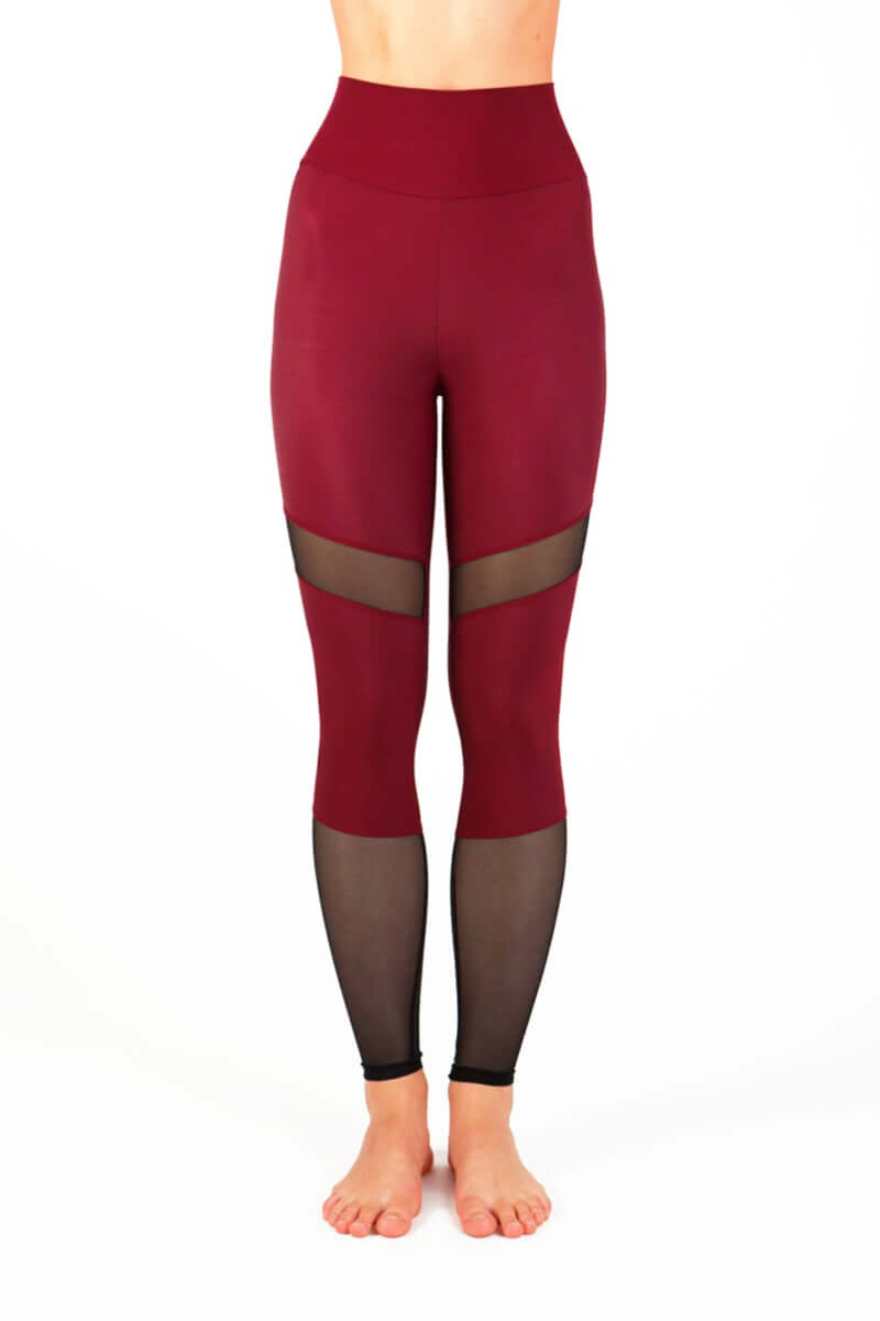 Stylish Mesh Leggings Barbara | In Stock Now! – Dragonfly