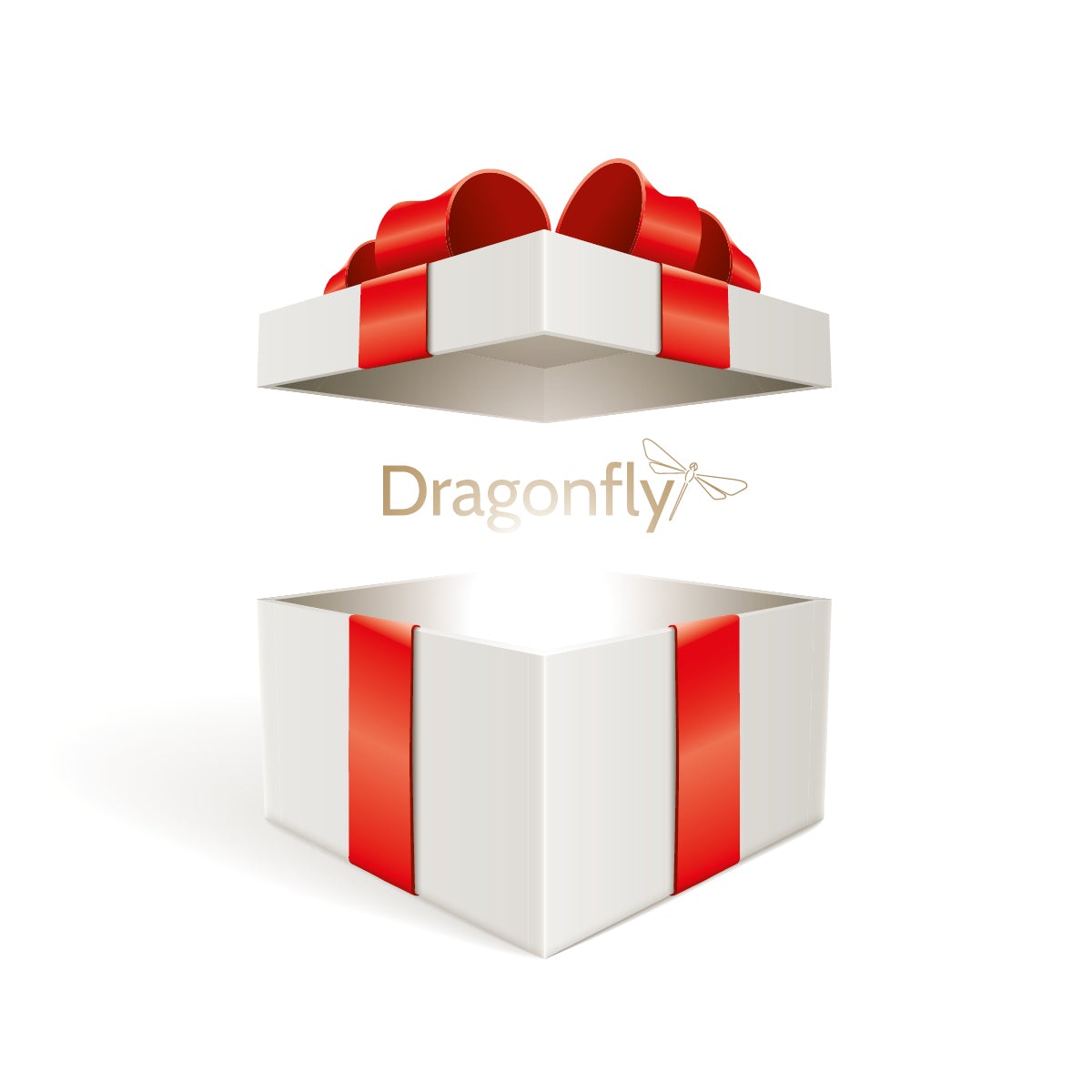 Gift card Gift voucher Dragonfly €40.00